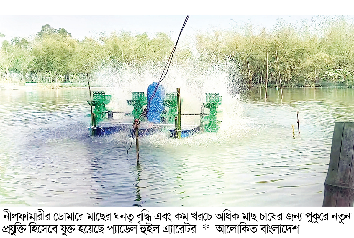 নতুন প্রযুক্তি ব্যবহারে মাছ চাষে বিপ্লব নতুন প্রযুক্তি ব্যবহারে মাছ চাষে বিপ্লব