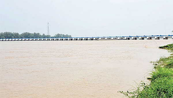 তিস্তায় হঠাৎ পানি বৃদ্ধি