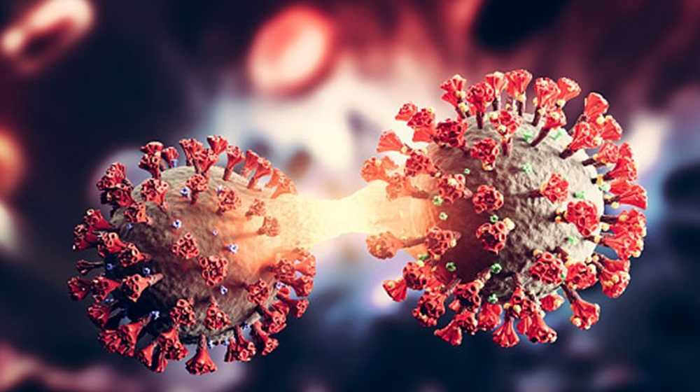 করোনায় আরও ২ জনের মৃত্যু, শনাক্ত ৭ করোনায় আরও ২ জনের মৃত্যু, শনাক্ত ৭