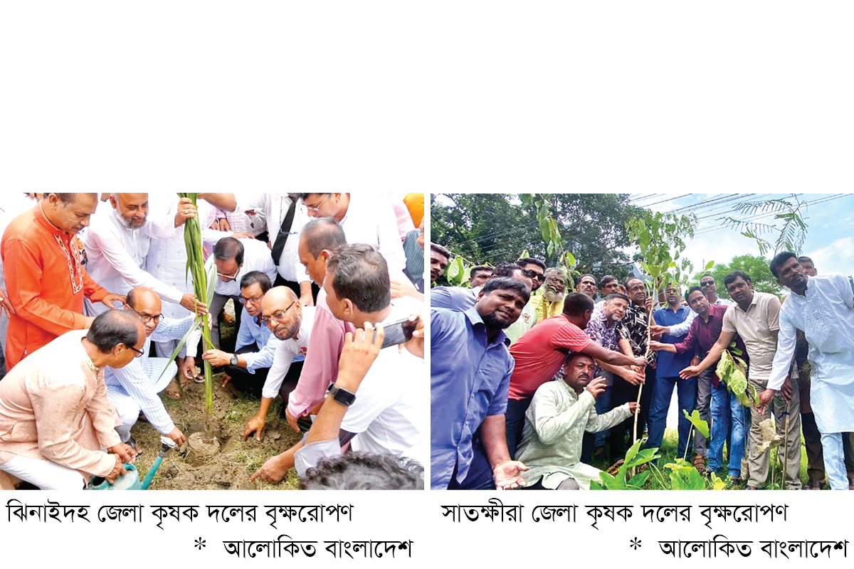 জুলাই শহিদদের স্মরণে বিএনপির দেশব্যাপী বৃক্ষরোপণ কর্মসূচি জুলাই শহিদদের স্মরণে বিএনপির দেশব্যাপী বৃক্ষরোপণ কর্মসূচি