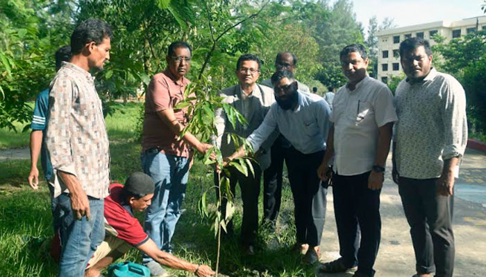 নোবিপ্রবিতে বৃক্ষরোপণ কর্মসূচি অনুষ্ঠিত নোবিপ্রবিতে বৃক্ষরোপণ কর্মসূচি অনুষ্ঠিত