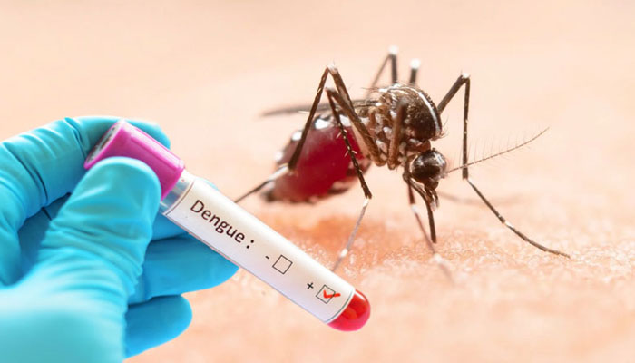 ডেঙ্গুতে ৩ জনের মৃত্যু, নতুন করে হাসপাতালে ভর্তি ৪৪৪ ডেঙ্গুতে ৩ জনের মৃত্যু, নতুন করে হাসপাতালে ভর্তি ৪৪৪