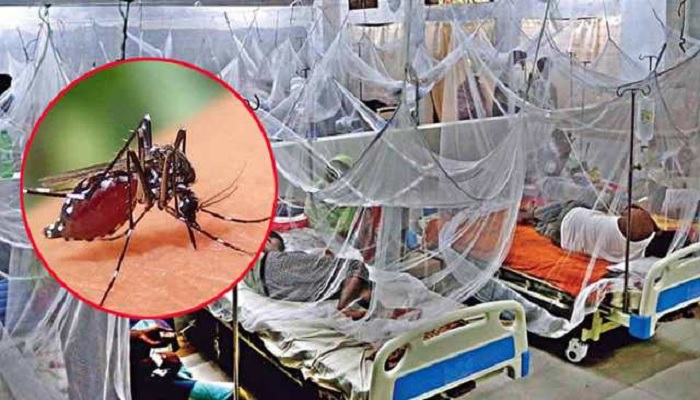 ডেঙ্গুতে আরও ৩ জনের মৃত্যু, হাসপাতালে ৪০৯