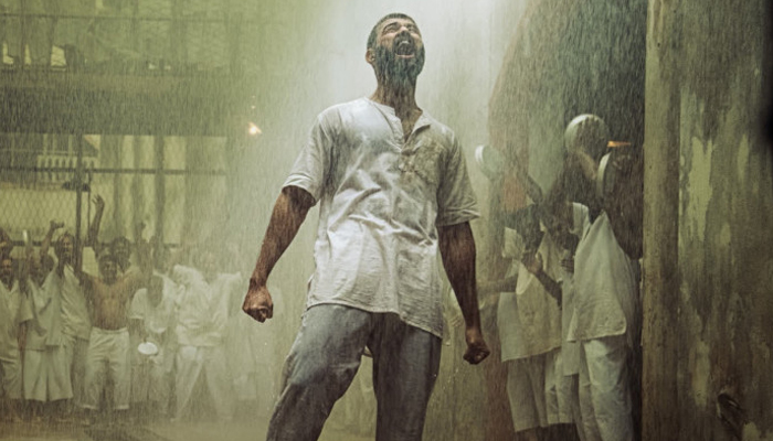 বিজয়ের বাজিমাত বিজয়ের বাজিমাত