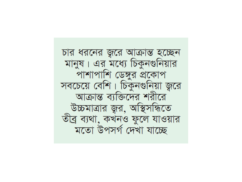 চট্টগ্রামে বাড়ছে ডেঙ্গু চিকুনগুনিয়া রোগী চট্টগ্রামে বাড়ছে ডেঙ্গু চিকুনগুনিয়া রোগী