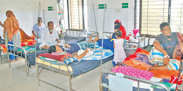ডেঙ্গু রোগীদের পাশাপাশি বাড়ছে চিকুনগুনিয়া আক্রান্ত রোগী