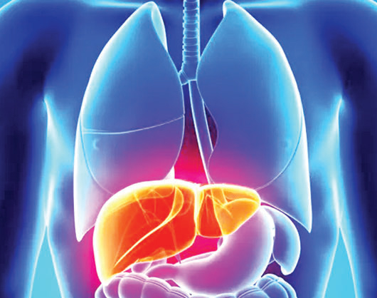হেপাটাইটিস লিভার নষ্ট করে হেপাটাইটিস লিভার নষ্ট করে