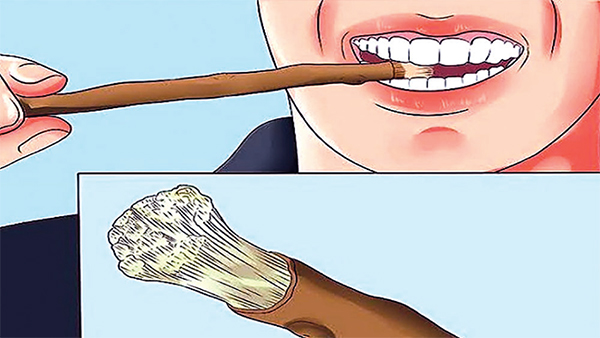 মিসওয়াক করে নামাজ পড়ার ফজিলত মিসওয়াক করে নামাজ পড়ার ফজিলত