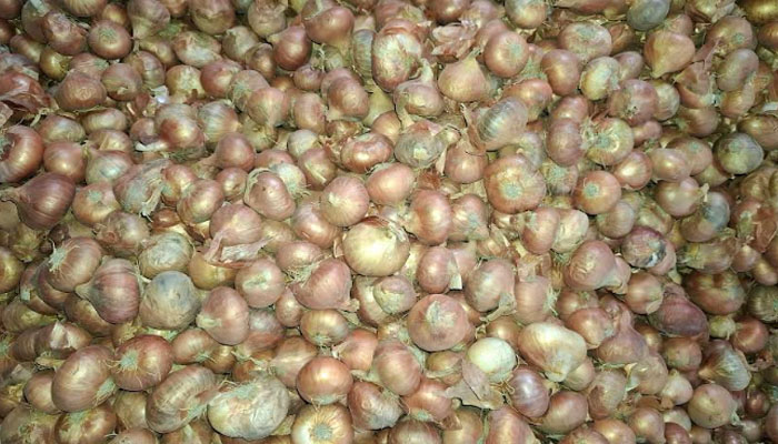 ঈশ্বরদীতে তিন দিনে পেঁয়াজের দাম বাড়ল কেজিতে ৩০ টাকা ঈশ্বরদীতে তিন দিনে পেঁয়াজের দাম বাড়ল কেজিতে ৩০ টাকা