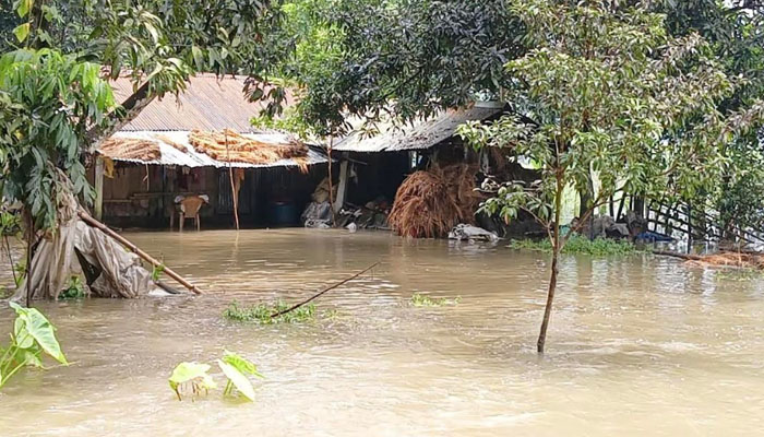 তালায় বৃষ্টি ও উজানের পানিতে ১০ হাজার মানুষ পানিবন্দি তালায় বৃষ্টি ও উজানের পানিতে ১০ হাজার মানুষ পানিবন্দি