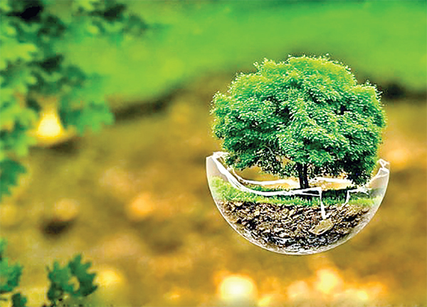 সৃষ্টির বৈচিত্র্যে স্রষ্টার জ্ঞান সৃষ্টির বৈচিত্র্যে স্রষ্টার জ্ঞান