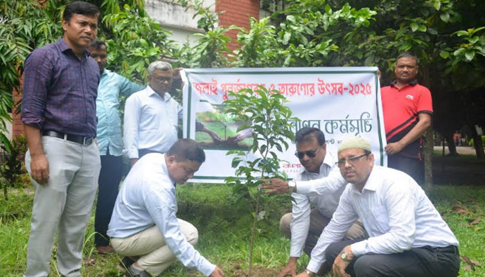 বেরোবিতে জুলাই পুনর্জাগরণ ও তারুণ্যের উৎসব উপলক্ষ্যে বৃক্ষরোপণ কর্মসূচি
