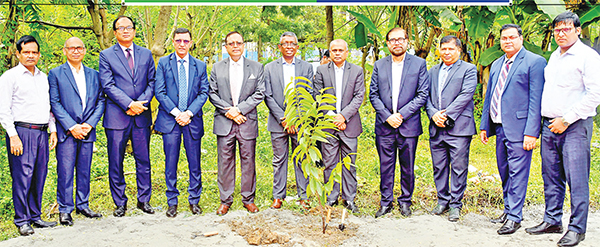 মার্কেন্টাইল ব্যাংকের বৃক্ষরোপণ কর্মসূচি পালন