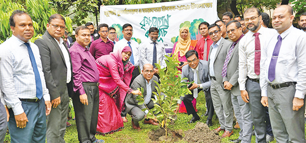 সোনালী ব্যাংকের বৃক্ষরোপণ কর্মসূচি সোনালী ব্যাংকের বৃক্ষরোপণ কর্মসূচি