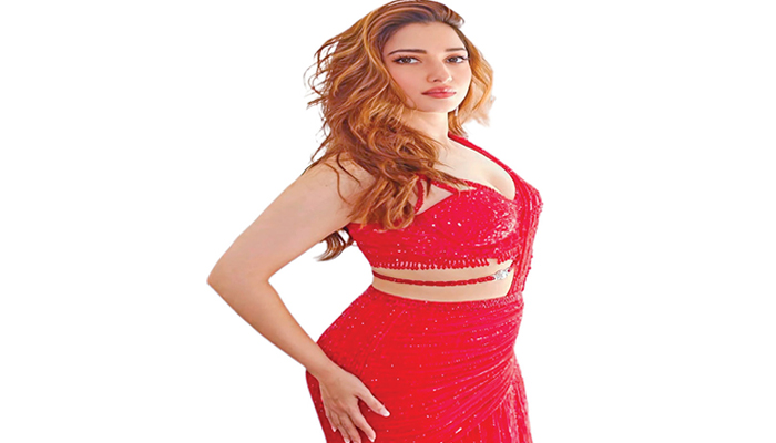 আবারও বলিউডে তামান্না