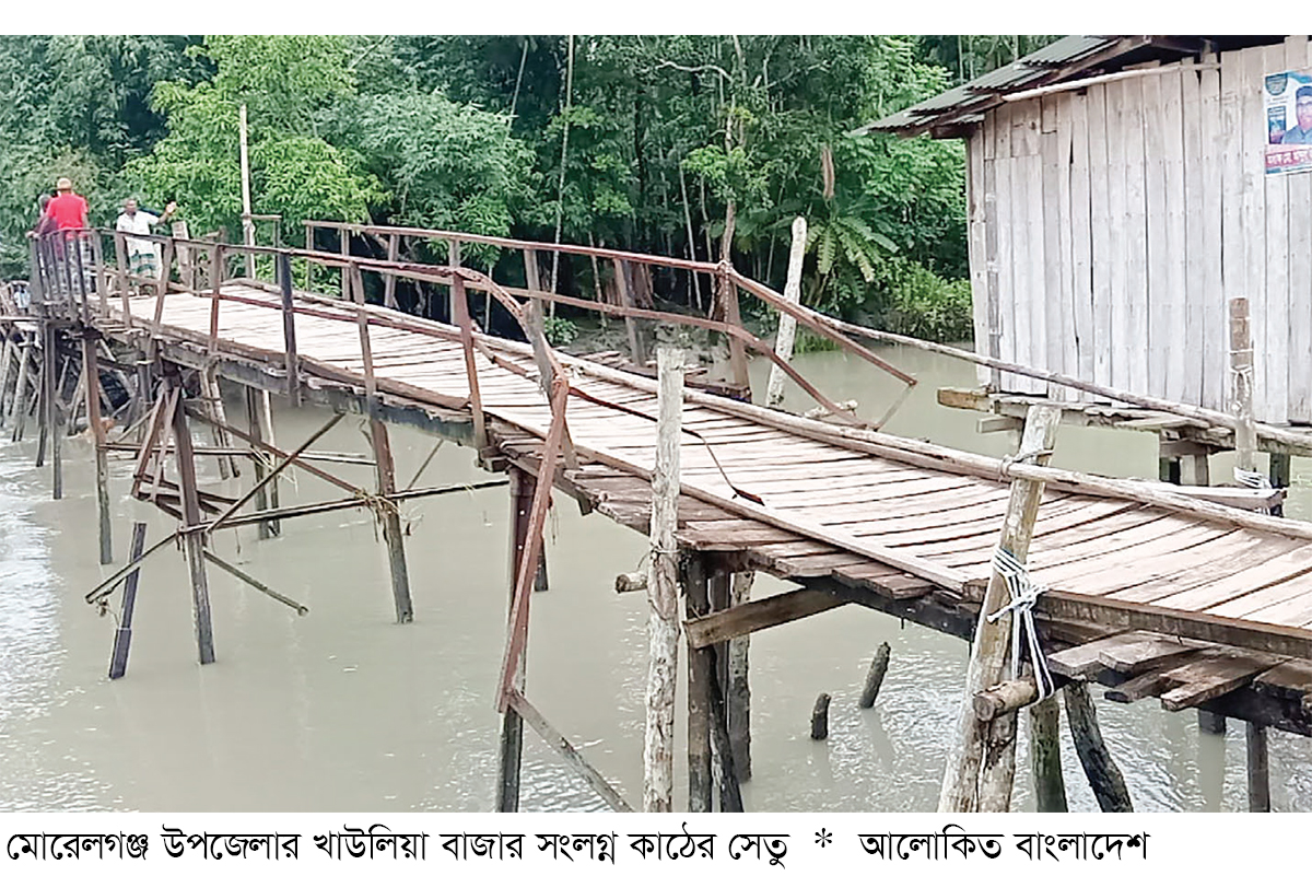 মোরেলগঞ্জে কাঠের সেতুতে ঝুঁকি নিয়ে চলাচল মোরেলগঞ্জে কাঠের সেতুতে ঝুঁকি নিয়ে চলাচল