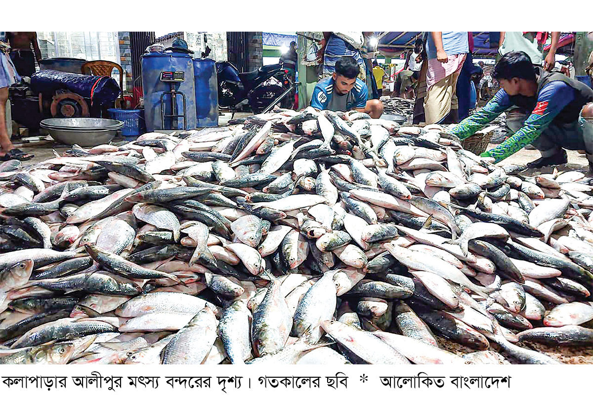 বঙ্গোপসাগরে ধরা পড়ছে ঝাঁকে ঝাঁকে রুপালি ইলিশ বঙ্গোপসাগরে ধরা পড়ছে ঝাঁকে ঝাঁকে রুপালি ইলিশ