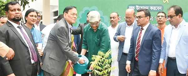 বাংলাদেশ কৃষি ব্যাংকে বৃক্ষরোপণ কর্মসূচি পালন বাংলাদেশ কৃষি ব্যাংকে বৃক্ষরোপণ কর্মসূচি পালন