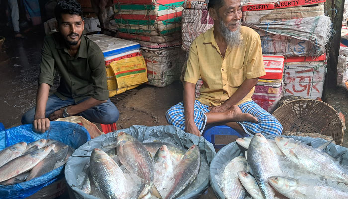 চাঁদপুরে ইলিশের আমদানি বেড়েছে, কমেছে দাম চাঁদপুরে ইলিশের আমদানি বেড়েছে, কমেছে দাম