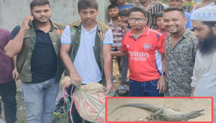 বিরল গুঁইসাপ উদ্ধার, বনবিভাগে হস্তান্তর করলেন ছাত্রদল নেতা বিরল গুঁইসাপ উদ্ধার, বনবিভাগে হস্তান্তর করলেন ছাত্রদল নেতা