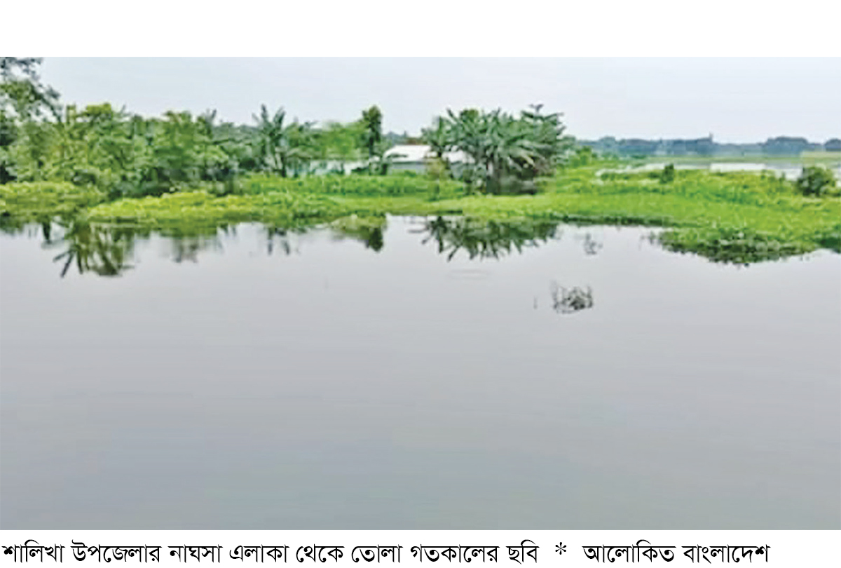 শালিখার বিভিন্ন এলাকায় বন্যা পরিস্থিতির অবনতি শালিখার বিভিন্ন এলাকায় বন্যা পরিস্থিতির অবনতি