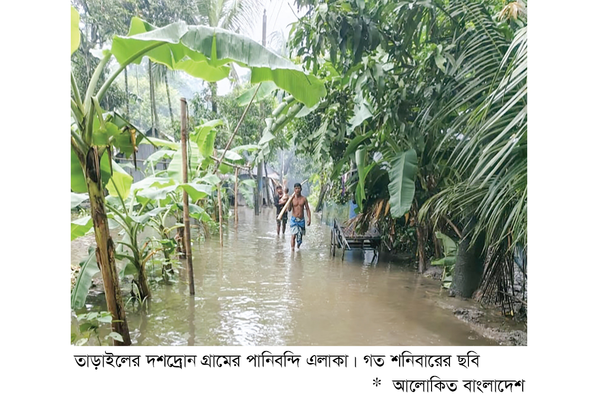 তাড়াইলে জলাবদ্ধতায় ২৫০ পরিবারে দুর্ভোগ তাড়াইলে জলাবদ্ধতায় ২৫০ পরিবারে দুর্ভোগ