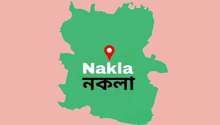 সাংবাদিক তুহিন হত্যার প্রতিবাদে নকলায় কলম বিরতি