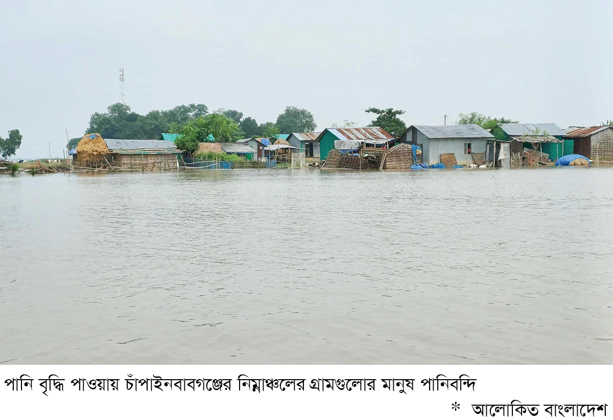 পদ্মায় পানিবন্দি নিম্নাঞ্চলের সাড়ে ছয় হাজার পরিবার পদ্মায় পানিবন্দি নিম্নাঞ্চলের সাড়ে ছয় হাজার পরিবার