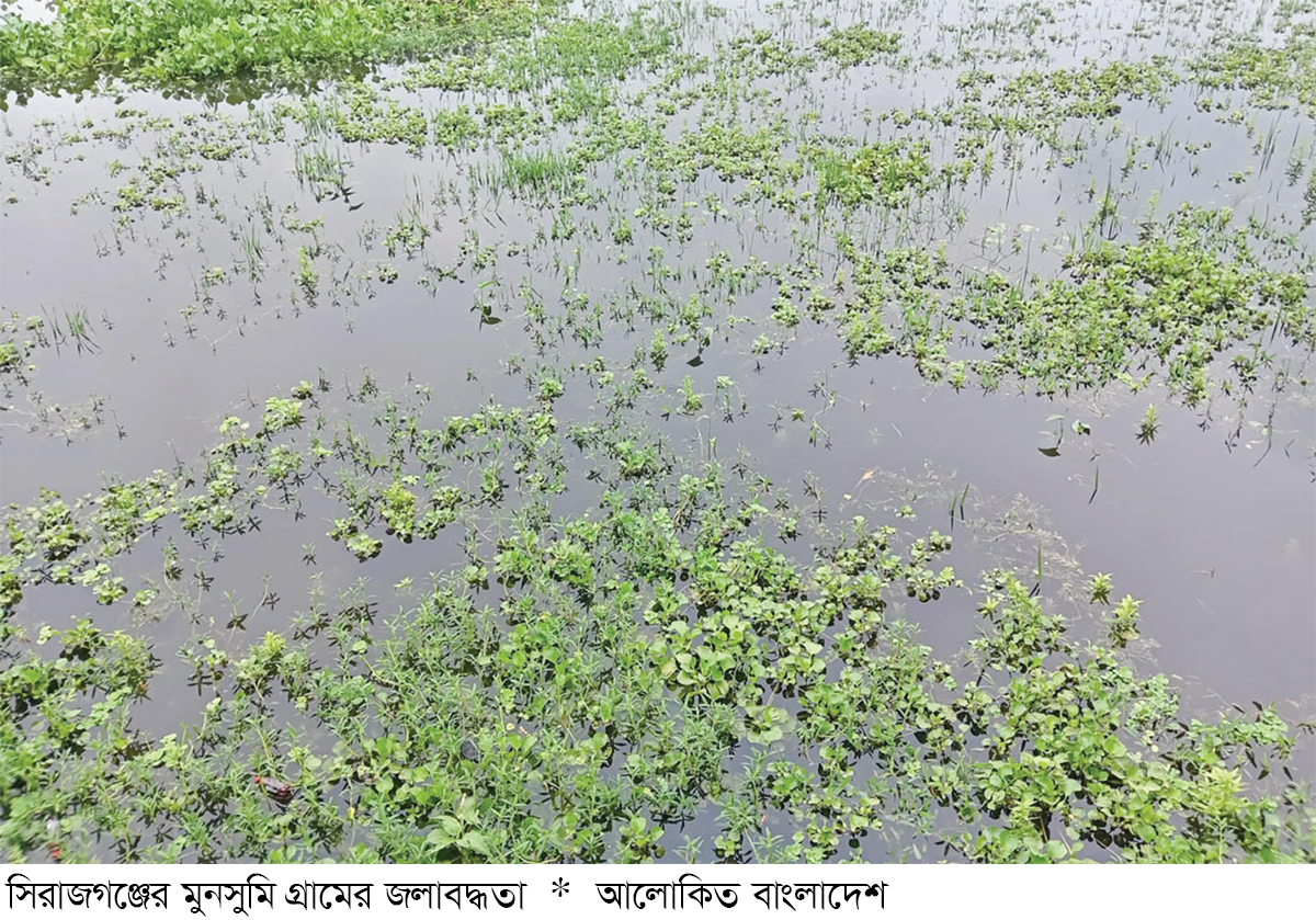 ব্রিজের অভাবে জলাবদ্ধতায় ৩০০ বিঘা জমি ব্রিজের অভাবে জলাবদ্ধতায় ৩০০ বিঘা জমি