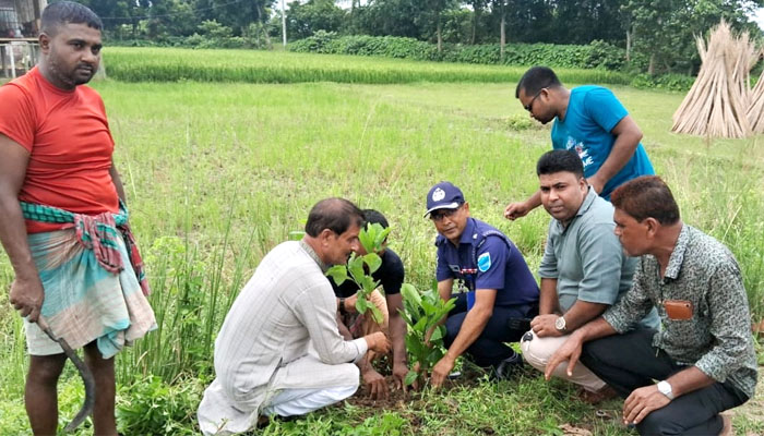 গোয়ালন্দে ওসির উদ্যোগে এক হাজার ঔষধি গাছের চারা রোপণ গোয়ালন্দে ওসির উদ্যোগে এক হাজার ঔষধি গাছের চারা রোপণ