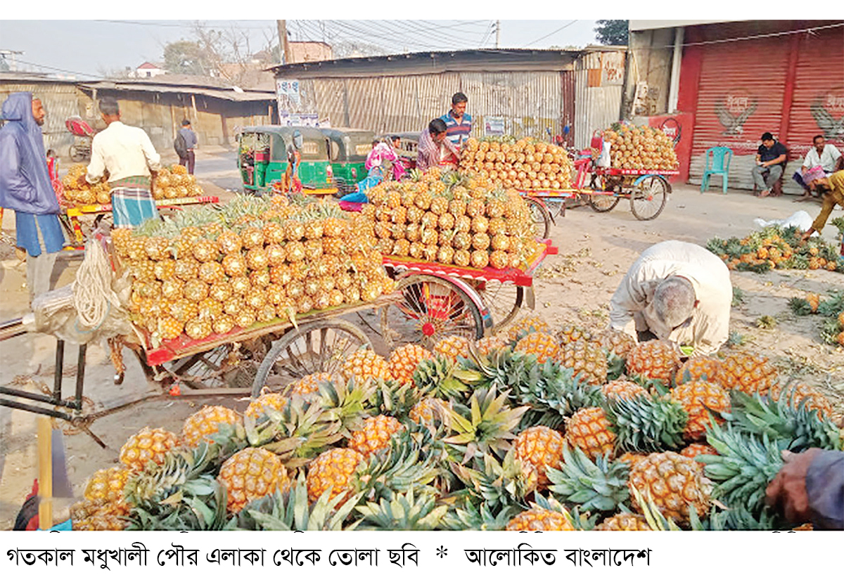 মধুখালীতে জমজমাট আনারসের বাজার