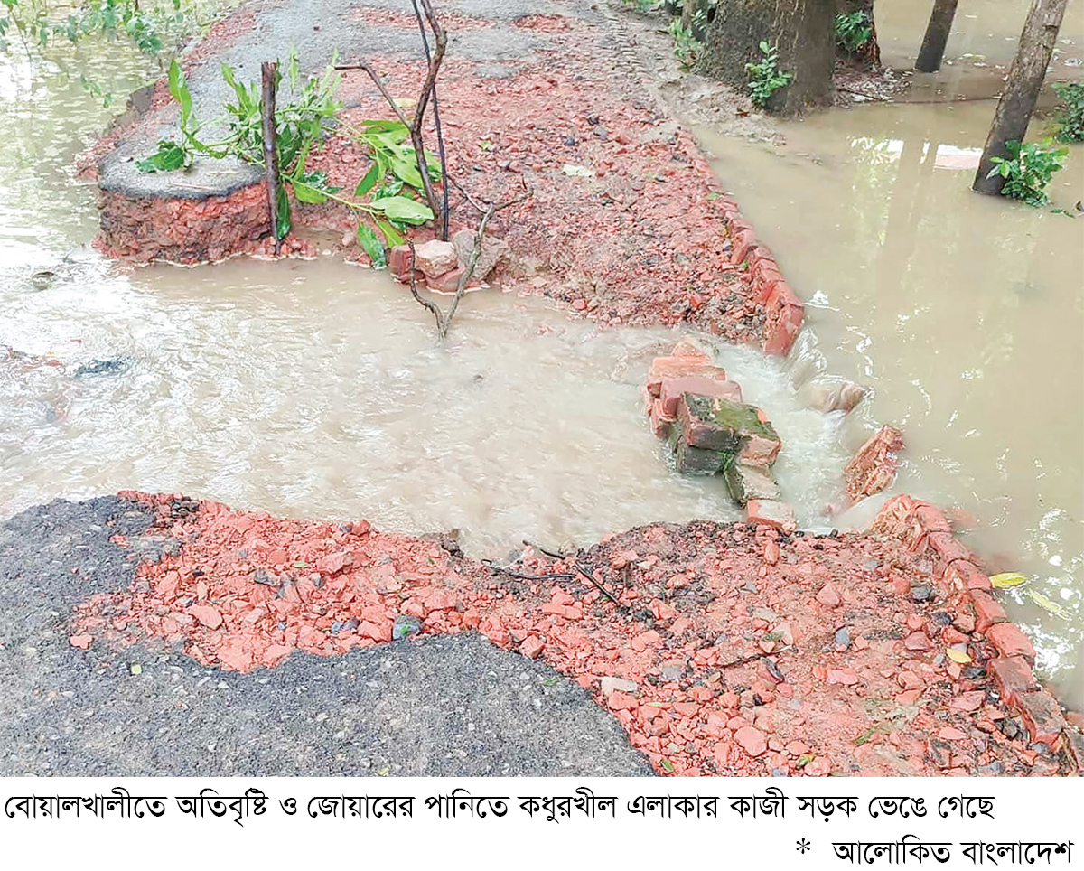 বোয়ালখালীতে সড়ক ভেঙে যোগাযোগ বিচ্ছিন্ন