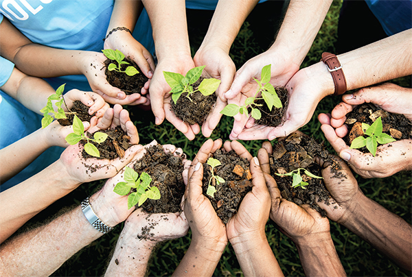 সবুজায়ন ও জীবন সবুজায়ন ও জীবন