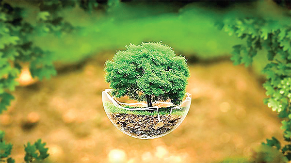 পরিবেশ সুরক্ষা ইবাদত পরিবেশ সুরক্ষা ইবাদত