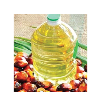 লিটারে ১৯ টাকা কমল পাম অয়েলের দাম লিটারে ১৯ টাকা কমল পাম অয়েলের দাম