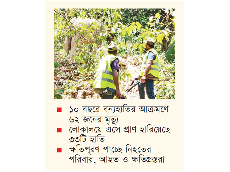 বিপদের মুখে কক্সবাজারের বন্যহাতি বিপদের মুখে কক্সবাজারের বন্যহাতি