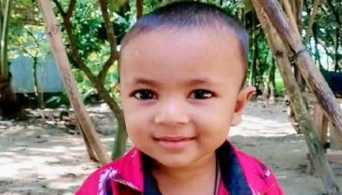 নকলায় ভিমরুলের কামড়ে ৩ বছরের শিশুর মৃত্যু