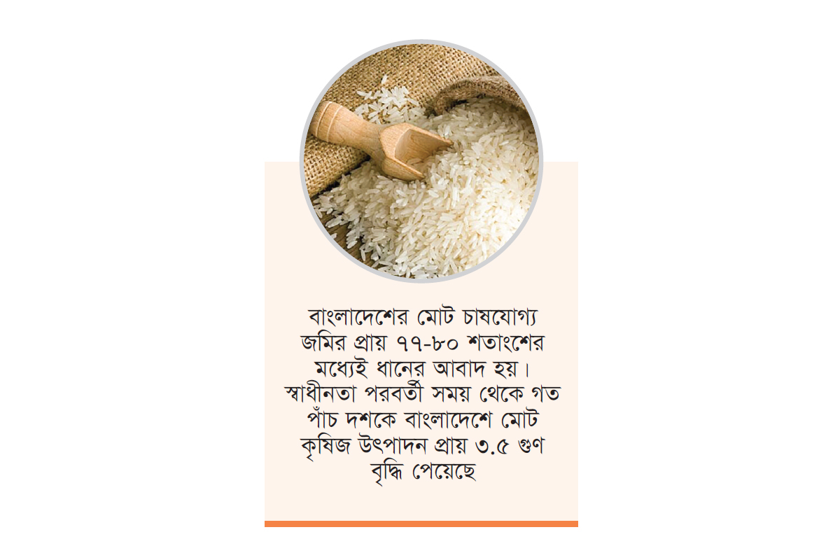 চাল উৎপাদনে তৃতীয় বাংলাদেশ