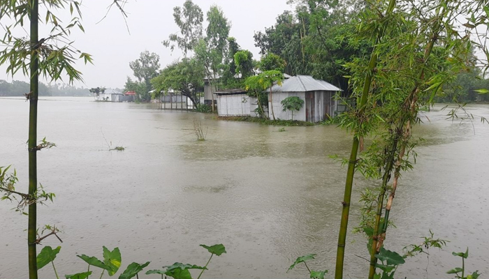 বিপৎসীমার ওপরে তিস্তার পানি, ১০ হাজার পরিবার পানিবন্দি বিপৎসীমার ওপরে তিস্তার পানি, ১০ হাজার পরিবার পানিবন্দি