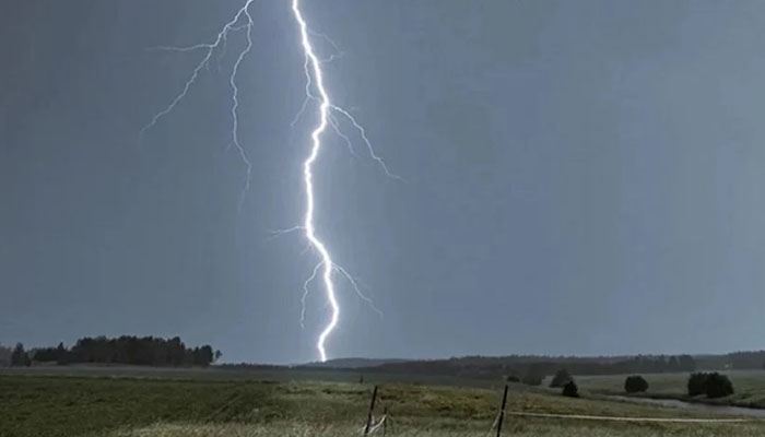 সখীপুরে বজ্রপাতে যুবকের মৃত্যু সখীপুরে বজ্রপাতে যুবকের মৃত্যু