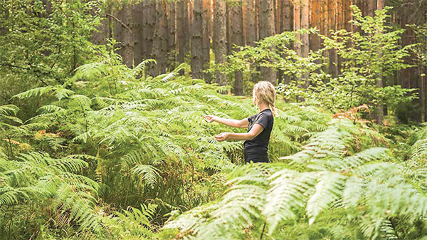 দুই শতকে মানুষের প্রকৃতিমুখিতা কমেছে ৬০ শতাংশ দুই শতকে মানুষের প্রকৃতিমুখিতা কমেছে ৬০ শতাংশ