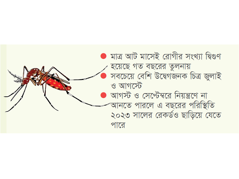 চট্টগ্রামে ভয়াবহ রূপ নিচ্ছে ডেঙ্গু পরিস্থিতি