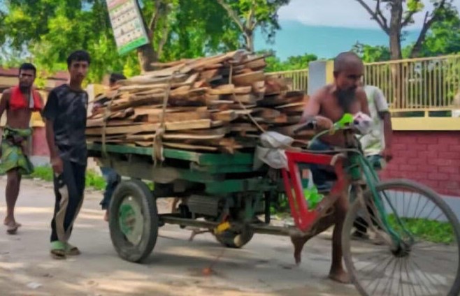 শেরপুরে কাঠ সহ ভ্যান দূর্ঘটনায় দাদা নাতির মৃত্যু 
