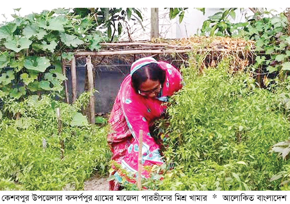 কেশবপুরে মিশ্র খামারে সাফল্য কেশবপুরে মিশ্র খামারে সাফল্য
