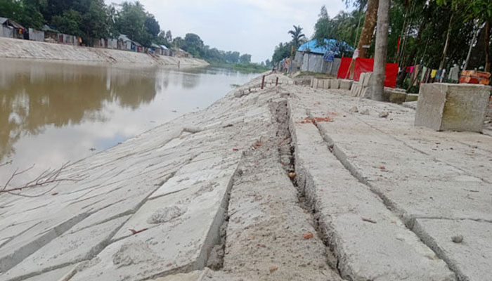 নিম্নমানের কাজের অভিযোগ, পীরগঞ্জে নদীর বাঁধে ভাঙন