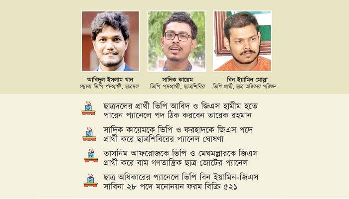 দৃষ্টি ডাকসু নির্বাচনে