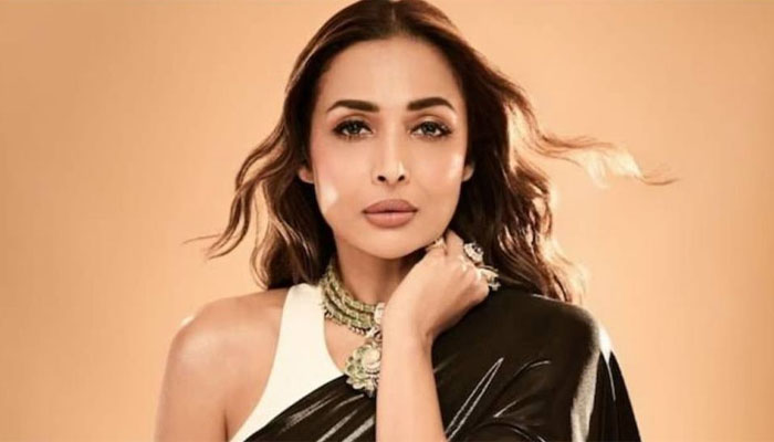 ‘বুড়ি’ বলে কটাক্ষ, মুখ খুললেন মালাইকা ‘বুড়ি’ বলে কটাক্ষ, মুখ খুললেন মালাইকা