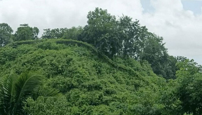 গহীন পাহাড়ে টাকা রেখে অপহৃত ছেলেকে ফেরত পেলেন পিতা গহীন পাহাড়ে টাকা রেখে অপহৃত ছেলেকে ফেরত পেলেন পিতা