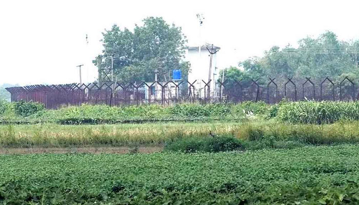 মেহেরপুর সীমান্ত থেকে বাংলাদেশিকে ধরে নিয়ে গেল বিএসএফ মেহেরপুর সীমান্ত থেকে বাংলাদেশিকে ধরে নিয়ে গেল বিএসএফ