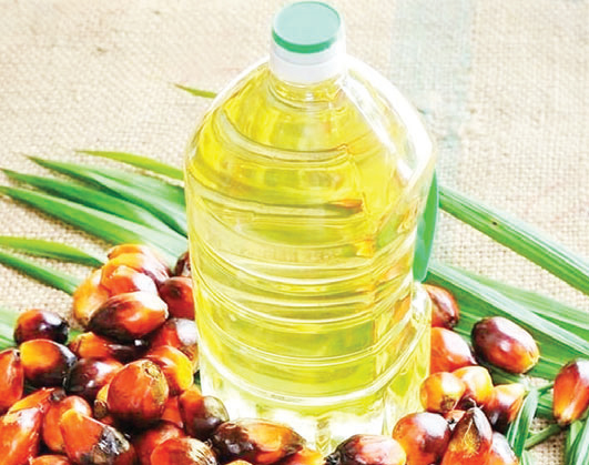 পাম অয়েল কতটা স্বাস্থ্যকর পাম অয়েল কতটা স্বাস্থ্যকর